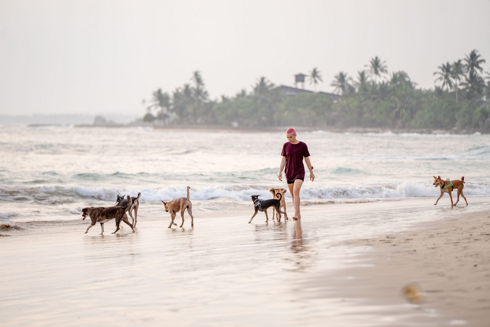 Girl walking on a beach with dogs after getting her Spain Visa.